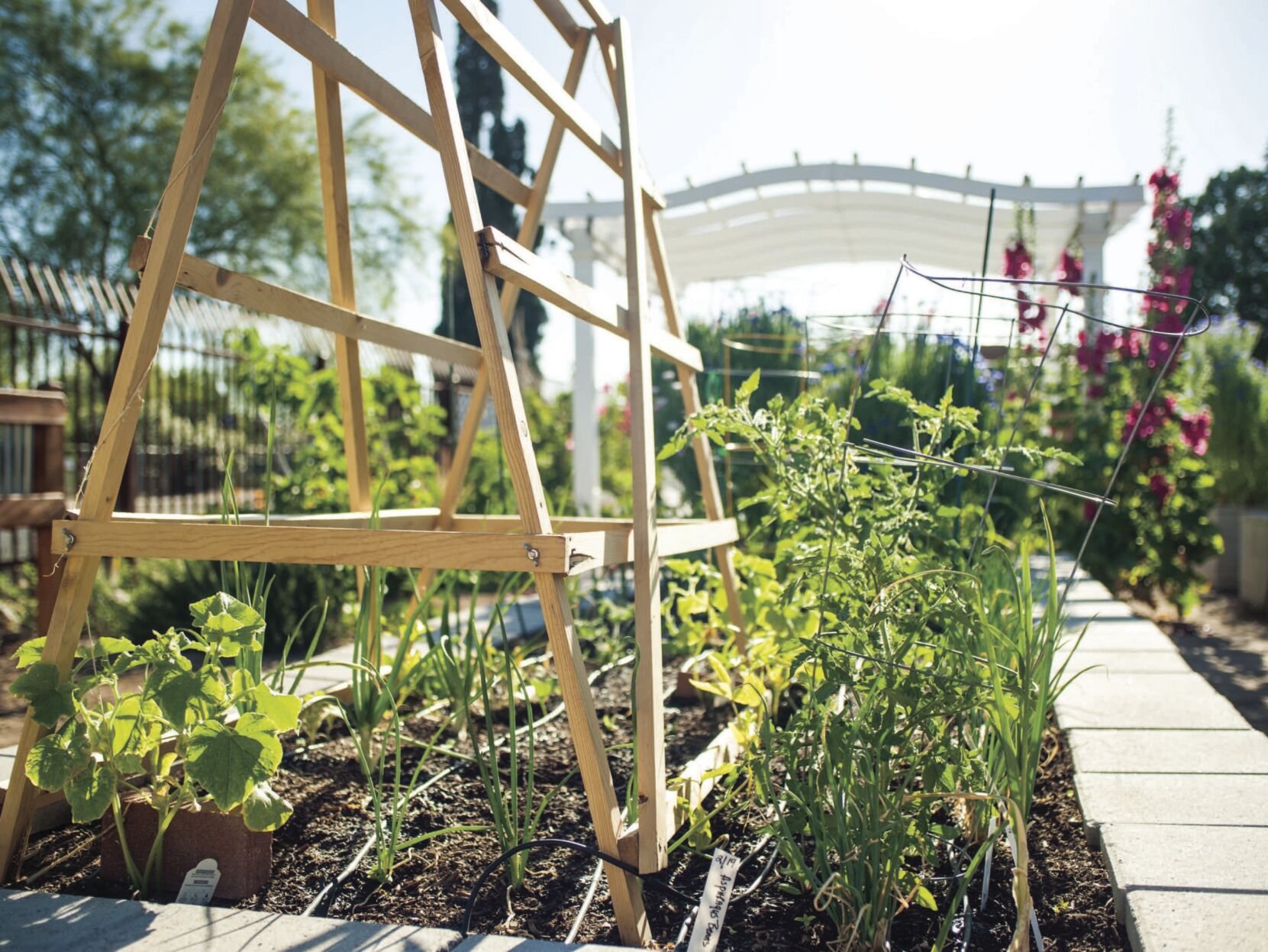 Garden Kitchen 4